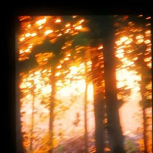 遗忘的画像 伴奏