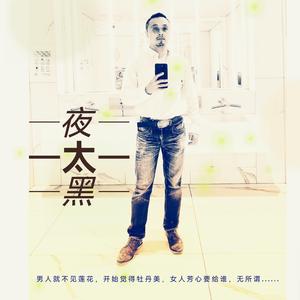 夜太黑 翻自 林忆莲 男生 复古版