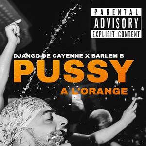 Pussy a l'orange (feat. Barlem B)