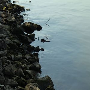 我爱上遗憾的原因