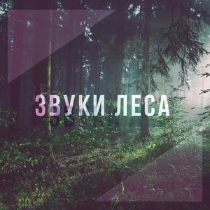 Hочная молитва