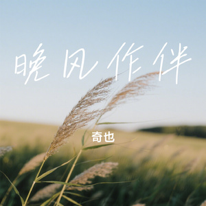 晚风作伴