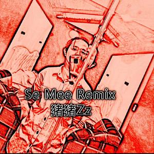 Tech N9ne-SEE ME（猪猪Zz remix）