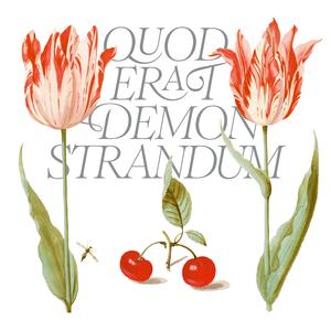 슬픔을 위한 체리