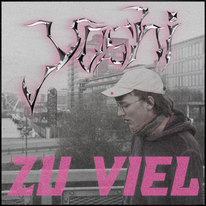 ZU VIEL (punkrock)