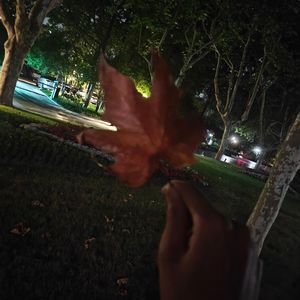 爱是情绪有了回音