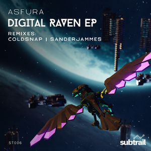 Digital Raven (SanderJammes Remix)