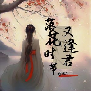 落花时节又逢君 (伴奏)