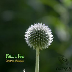 Carefree Summer (Original Mix)