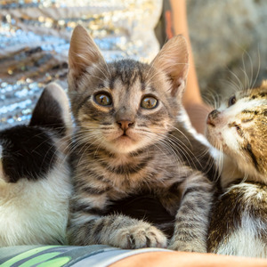 今日も元気だよ