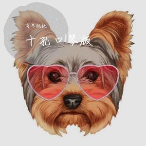 爱尔兰画眉（布鲁斯口琴）（翻自 伴奏自蓝网）