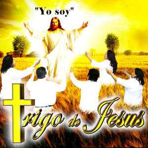 Cuatro Huellas Y Una Cruz