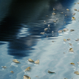 คิดถึง (Nostalgia)