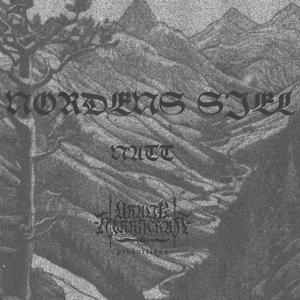 Natt (1 hour relaxing sleep music version)