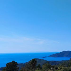 Lhasa Sunshine 拉萨阳光