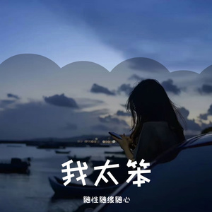 随性随缘随心-我太笨（随性随缘随心 remix）