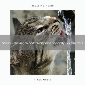 Calming Nature Noises For Dearest Cats