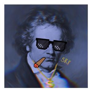 Ludwig van Beethoven-致爱丽丝（MusicalBasics remix）