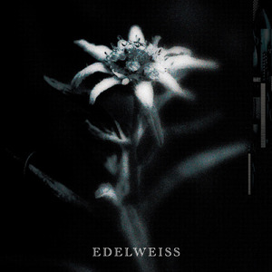 EDELWEISS