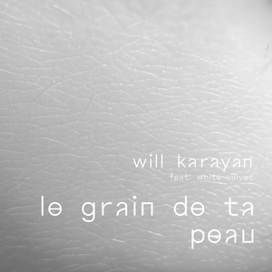 La Grain De Ta Peau (Disc Remix)