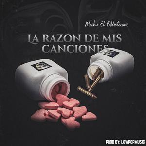 La Razon de Mis Canciones
