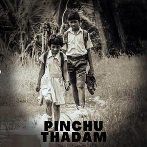 Pinchu Thadam (feat. Thamasvini)