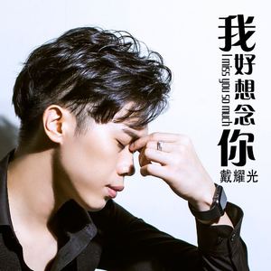 我好想念你 (新版)