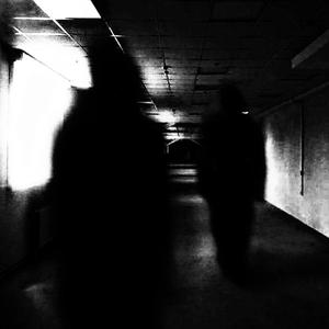 MOGGED (Slowed + Reverb)