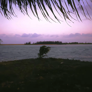 我听人说思念像风