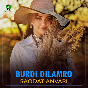 Burdi Dilamro