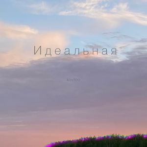 Идеальная