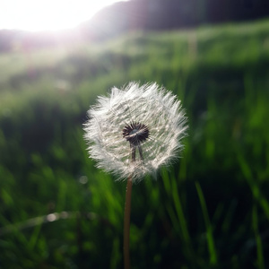 기억의 파편을 주워담아 그대에게 보낸다