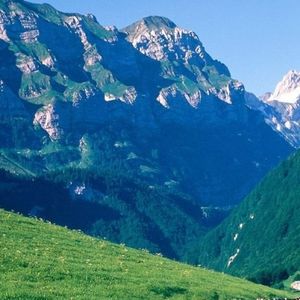 你留下的一切 (5)