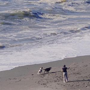 i belive （我相信）