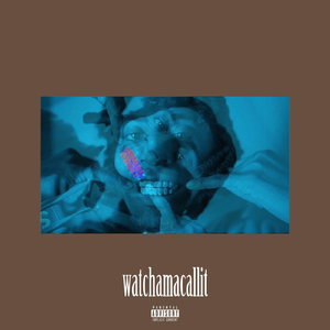 Whatchamacallit