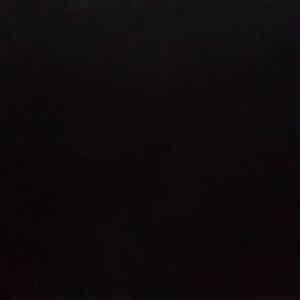 那年蝉声没听清的永恒