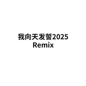 我向天发誓2025 Remix(×1.2)