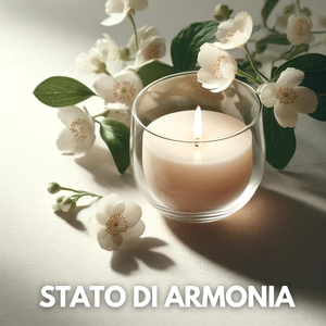 Meridiani energetici