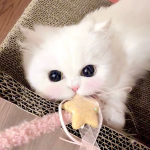 云雾缭绕山间行