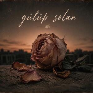Gülüp solan