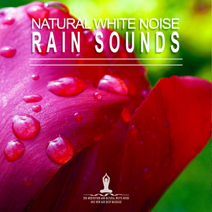 Natural White Noise: Rain Sounds, Pt. 04