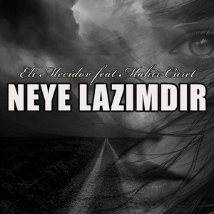 Neye Lazımdır