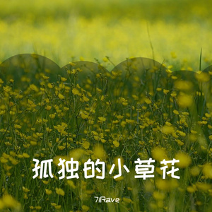 孤独的小草花