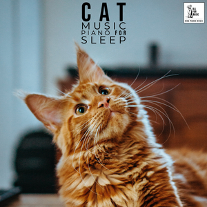Cat Fall Asleep Music