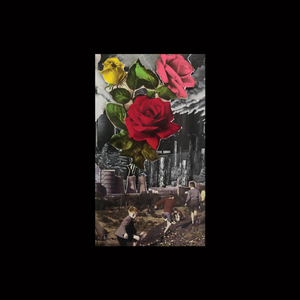 Incomprehensible Bed