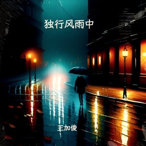 独行风雨中