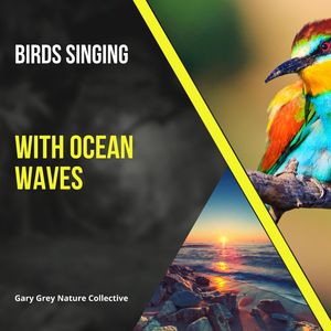 Morning by the Beach