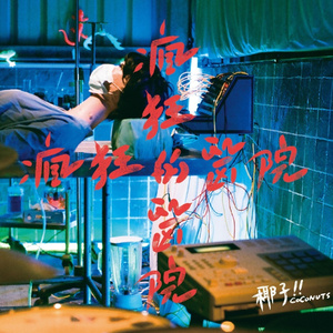 北极熊的咖啡色圣诞