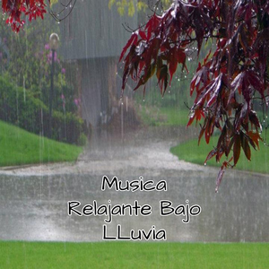 Musica Relajante Bajo LLuvia