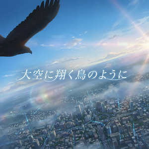 大空に翔く鳥のように